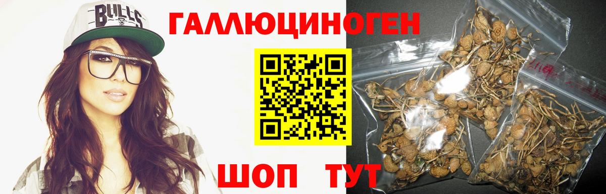 Кушва  Псилоцибиновые грибы Psilocybine cubensis  Вход с VPN 